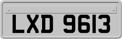 LXD9613