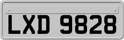 LXD9828