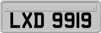 LXD9919
