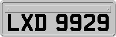 LXD9929