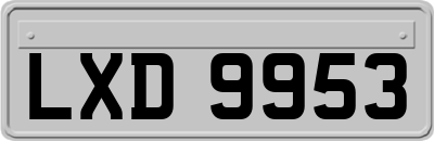 LXD9953