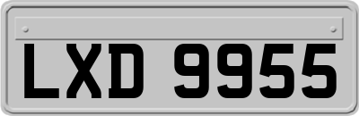 LXD9955