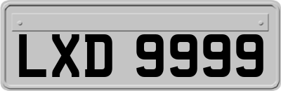 LXD9999