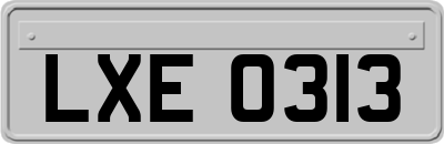 LXE0313