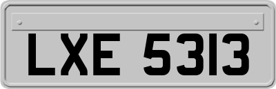 LXE5313