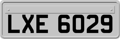 LXE6029