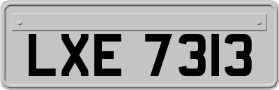 LXE7313