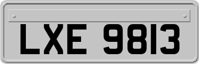 LXE9813