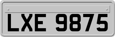 LXE9875