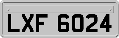 LXF6024