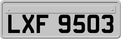 LXF9503