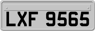 LXF9565