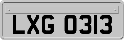 LXG0313
