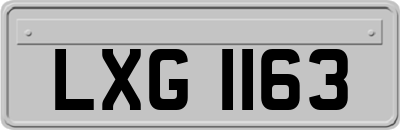 LXG1163