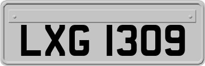 LXG1309