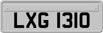 LXG1310
