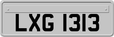 LXG1313