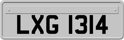 LXG1314