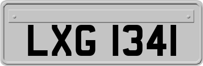 LXG1341