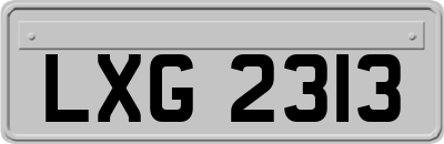 LXG2313