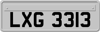 LXG3313