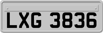 LXG3836