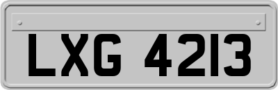LXG4213
