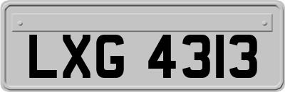 LXG4313