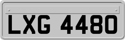 LXG4480