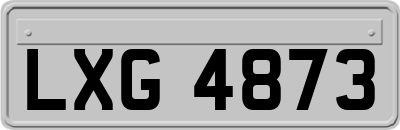 LXG4873