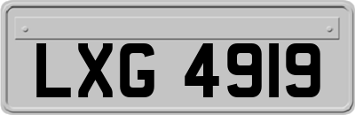 LXG4919
