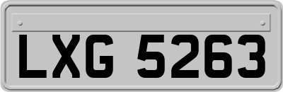 LXG5263
