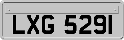 LXG5291