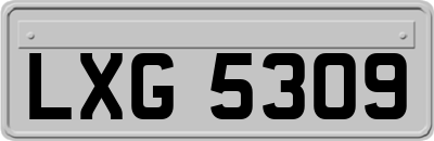 LXG5309