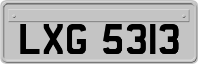 LXG5313