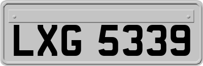 LXG5339