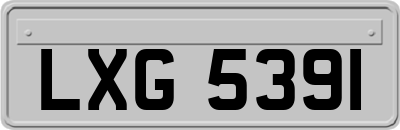 LXG5391