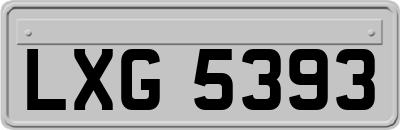 LXG5393