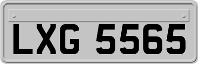 LXG5565