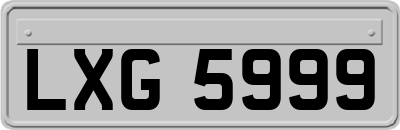 LXG5999