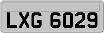LXG6029