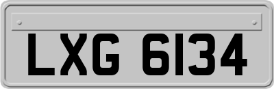 LXG6134