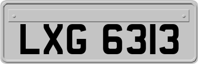 LXG6313