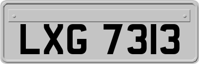 LXG7313