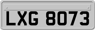 LXG8073