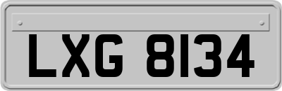 LXG8134