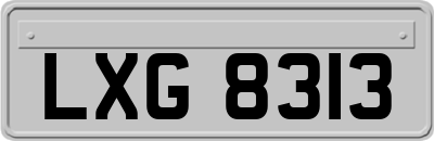 LXG8313