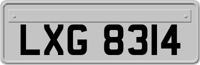 LXG8314