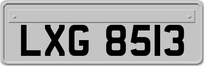 LXG8513