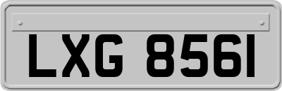 LXG8561